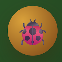 Weevil Wizard: Beetle Quiz