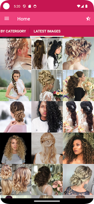 Wedding Hairstyle Step By Step Screenshot 0