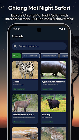 Chiang Mai Night Safari Screenshot 1