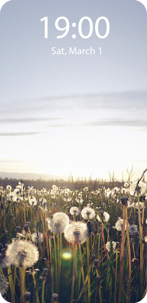 Dandelion Live Wallpaper Screenshot 2