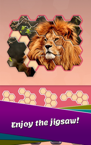 Block hexa puzzle - Animals Jigsaw Screenshot 3