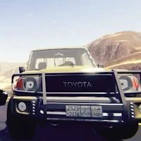 هجولة ودرفت شاص بوليسي