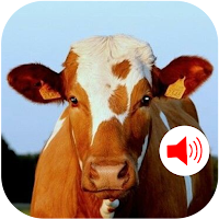 Cow Sound - Ringtones