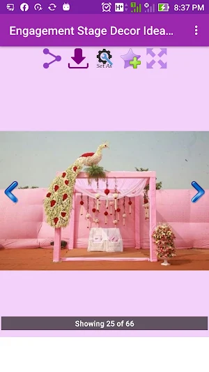 Engagement Stage Decor Idea Screenshot 2