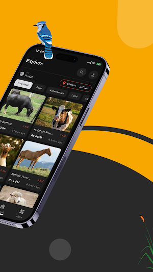 GoHaweli | The Animals Market Screenshot 1