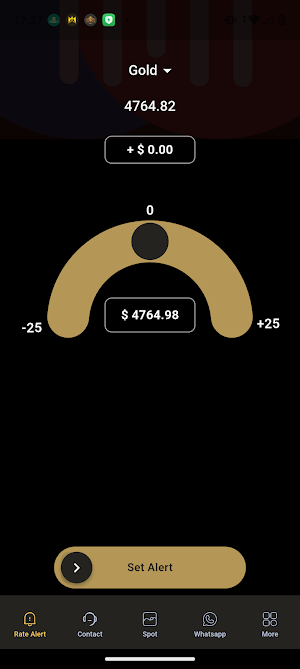 Zainul Hasan Bullion Screenshot 1