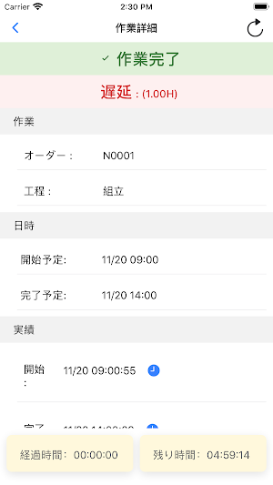 FLEXSCHE CarryOut 4 Screenshot 1