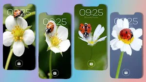 Cute Ladybug Wallpaper Screenshot 1