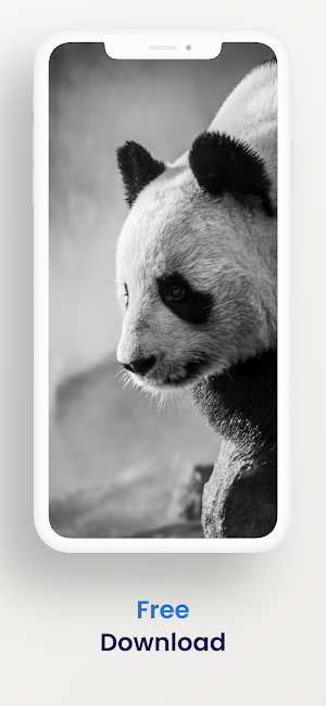 Cute panda wallpapers hd Screenshot 3