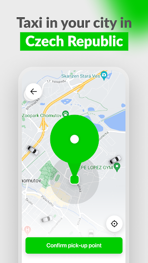 TO-MI: Taxi Czech Republic Screenshot 0