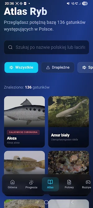 Moczykij Screenshot 3