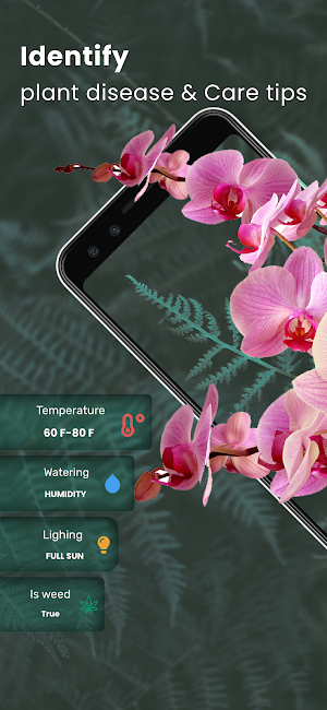 AnyPlant: AI Plant Identifier Screenshot 0