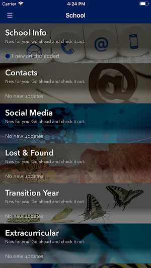 Straffan National School Screenshot 1