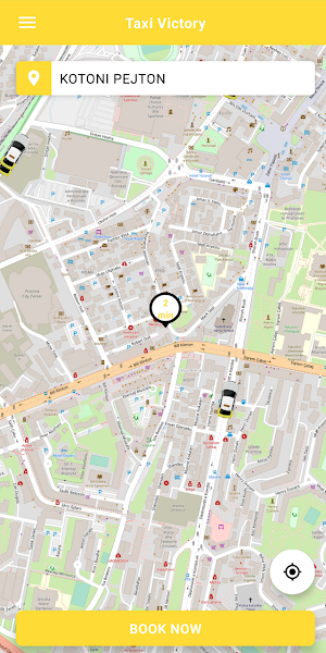 Victory Taxi Screenshot 2