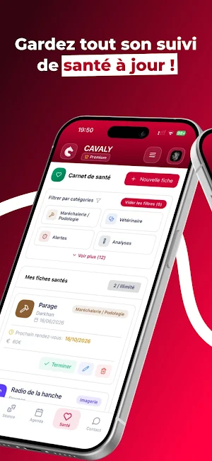 Cavaly Screenshot 3