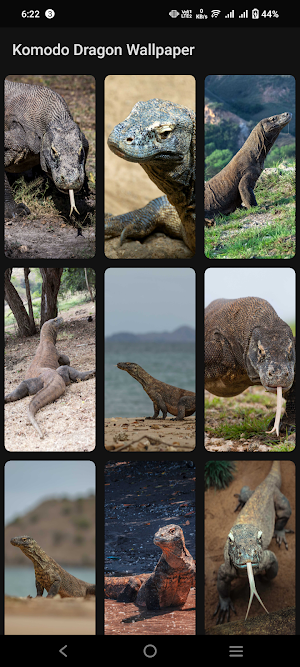 Komodo Dragon Wallpaper Screenshot 1