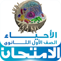 Animal Cell-3D