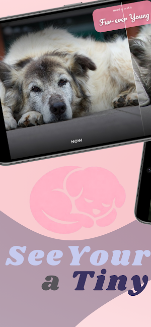 Fur-ever Young: Pet Baby Photo Screenshot 0