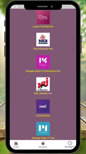Radio Suède FM online Screenshot 3