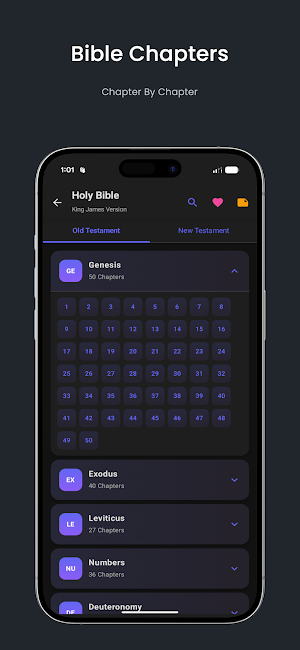 English Bible – Audio & Songs Screenshot 2