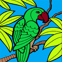 Coloring Birds