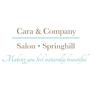Cara & Company Salon Screenshot 3