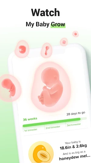 GLOW. Pregnancy & Baby Tracker Screenshot 0