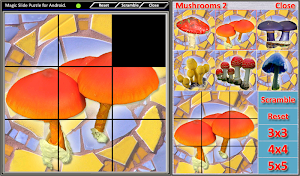 Magic Slide Puzzle Mushrooms 2 Screenshot 2