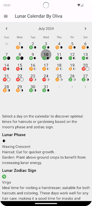 Lunar Calendar Screenshot 0