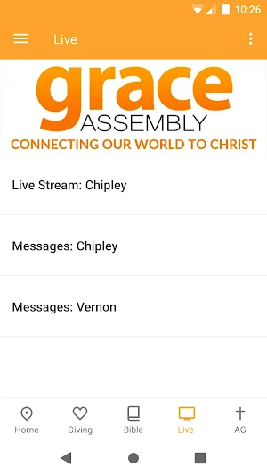 Grace AG Screenshot 1