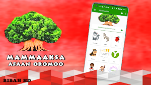 Mammaaksa Afaan Oromoon Screenshot 2