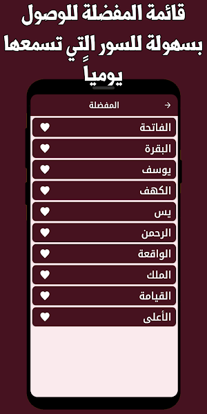 القران كامل اسلام صبحي بدون نت Screenshot 2