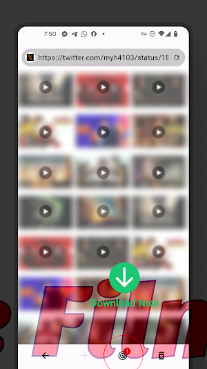 Video Browser Screenshot 1