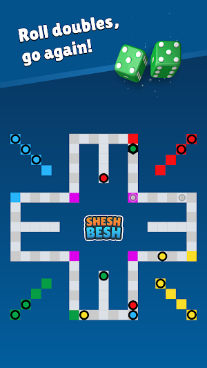 Shesh Besh Screenshot 1