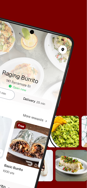 Raging Burrito To Go Screenshot 1