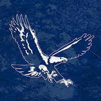 St Elmo CUSD #202, IL