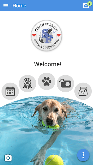 South Forsyth Animal Hospital Screenshot 0