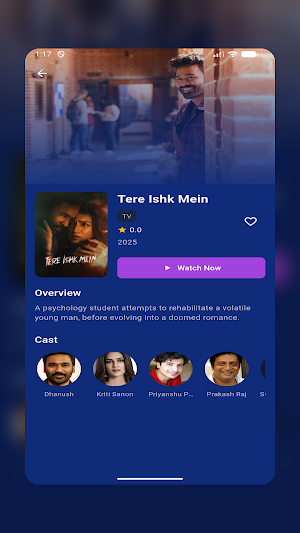 BollyFlix Screenshot 3