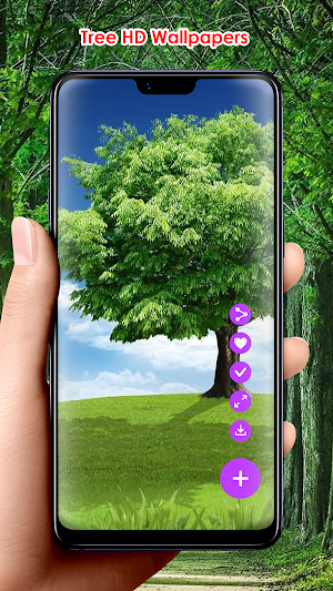 Tree HD Wallpapers Screenshot 1