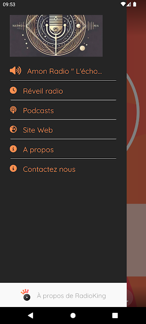Amon Radioweb Screenshot 0