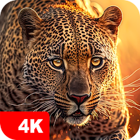 Animal Wallpapers 4K