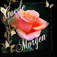 Goedemorgen