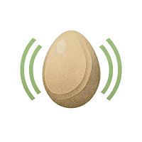 EggChime Chronicles