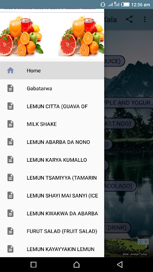 Yadda Akeyin Lemo Kala-Kala Screenshot 2