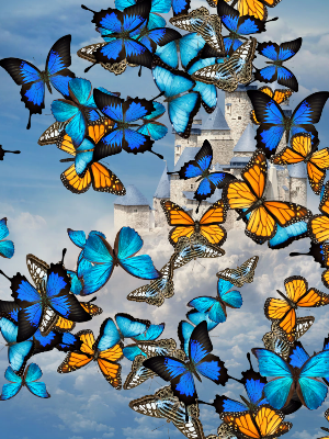 Butterflies App Screenshot 3