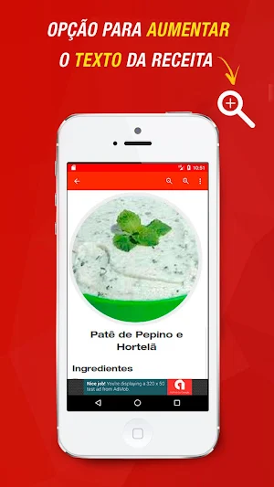 Receitas com Pepino Screenshot 2