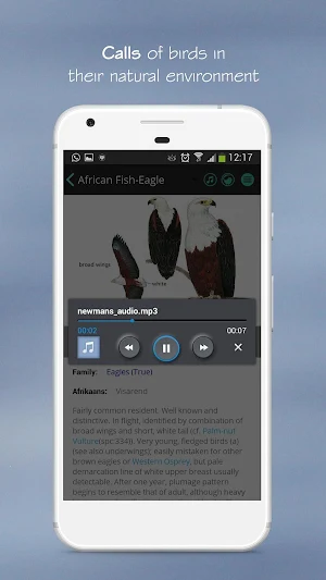 Newman's Birds Southern Africa Screenshot 2