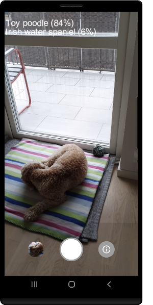 NdsSoft Dog Camera Screenshot 1