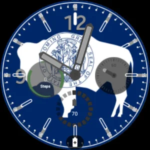 Wyoming Flag Watchface Screenshot 2