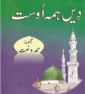 Pir Naseeruddin Naseer Books Screenshot 1